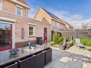 Aalscholver  Aalscholver 14 in Terneuzen