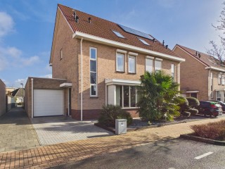  Aalscholver 14 in Terneuzen