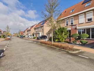  Aalscholver 14 in Terneuzen