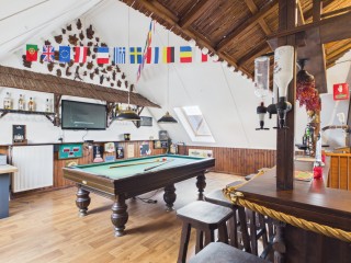 Aalscholver  Aalscholver 14 in Terneuzen