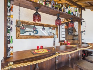 Aalscholver  Aalscholver 14 in Terneuzen