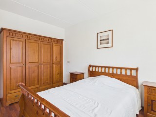 Aalscholver  Aalscholver 14 in Terneuzen