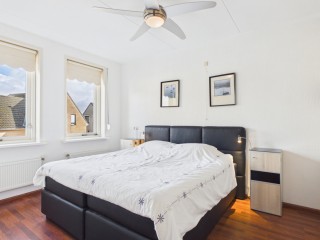 Aalscholver  Aalscholver 14 in Terneuzen