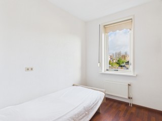 Aalscholver  Aalscholver 14 in Terneuzen