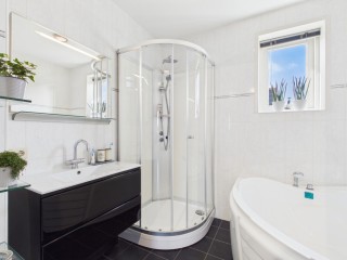 Aalscholver  Aalscholver 14 in Terneuzen