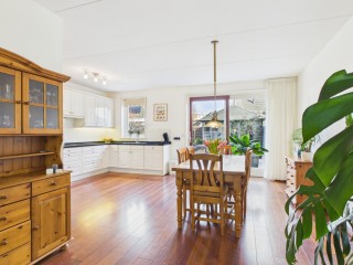 Aalscholver  Aalscholver 14 in Terneuzen