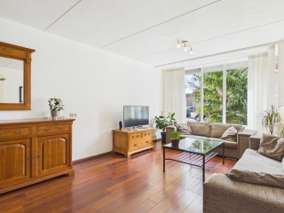  Aalscholver 14 in Terneuzen