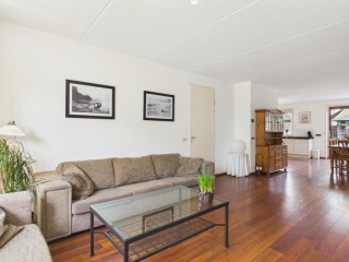 Aalscholver  Aalscholver 14 in Terneuzen