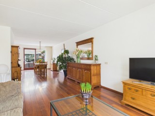 Aalscholver  Aalscholver 14 in Terneuzen