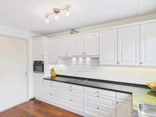 Aalscholver  Aalscholver 14 in Terneuzen