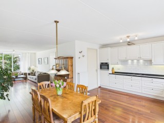  Aalscholver 14 in Terneuzen