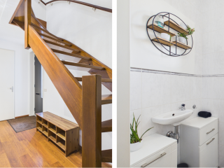 Aalscholver  Aalscholver 14 in Terneuzen