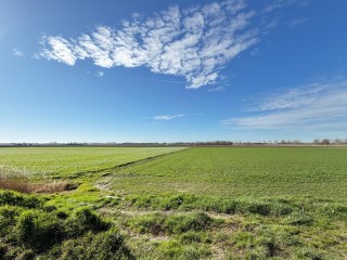  Monnikenstraat 3 in Kloosterzande