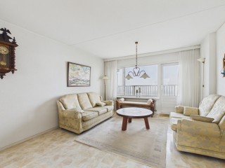 Churchilllaan  Churchilllaan 208 in Terneuzen