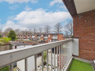  Bellamystraat 43 in Terneuzen