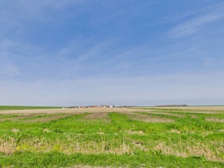 Zeedorp  Zeedorp 7 in Ossenisse