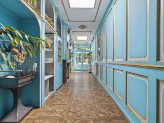 van der Maelstedeweg  van der Maelstedeweg 46 in Hulst