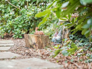 Magdalenastraat  Magdalenastraat 13A in Heikant