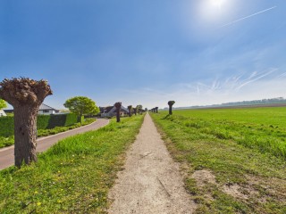 van Riebeecklaan  van Riebeecklaan 5 in Hulst