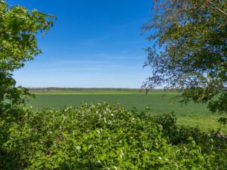 Graafjansdijk B  Graafjansdijk B 37 in Westdorpe
