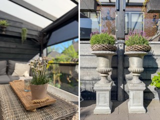 Gentiaanstraat  Gentiaanstraat 18 in Terneuzen