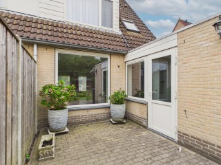 Korenbloem  Korenbloem 9 in Hulst