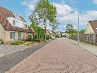 Korenbloem  Korenbloem 9 in Hulst