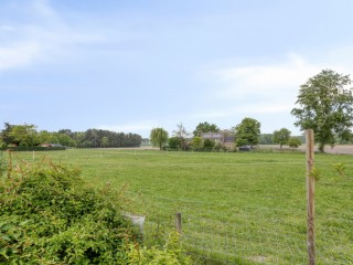 Hazelarenstraat  Hazelarenstraat 52 in Koewacht
