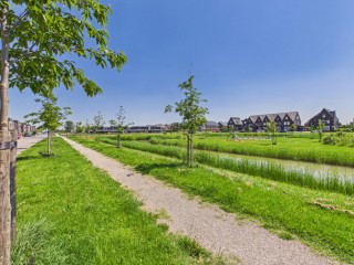 Koninginnepage  Koninginnepage 29 in Terneuzen