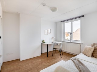 Grenulaan  Grenulaan 33 in Terneuzen