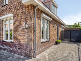  Tapijtschelp 56 in Terneuzen