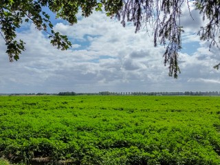  Grootmoedersdijk 1 in Kuitaart