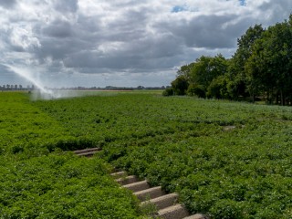 Grootmoedersdijk  Grootmoedersdijk 1 in Kuitaart