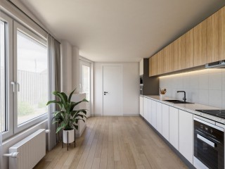 Visartstraat  Visartstraat 20 in Sluiskil