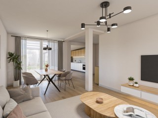 Visartstraat  Visartstraat 20 in Sluiskil