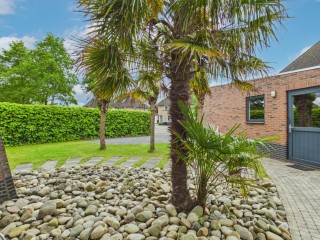 Robijnboog  Robijnboog 33 in Terneuzen