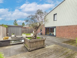 Steenarend  Steenarend 5 in Terneuzen