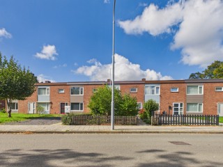 Bellamystraat  Bellamystraat 41 in Terneuzen