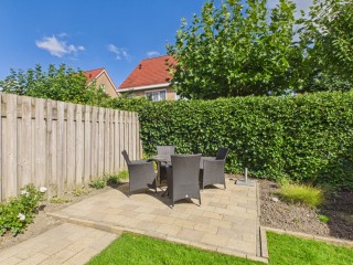 Roerdomp  Roerdomp 20 in Terneuzen