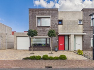  Roerdomp 20 in Terneuzen