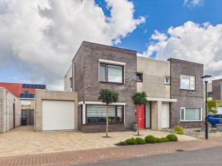  Roerdomp 20 in Terneuzen