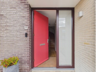 Roerdomp  Roerdomp 20 in Terneuzen