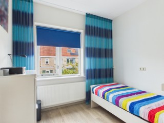 Roerdomp  Roerdomp 20 in Terneuzen
