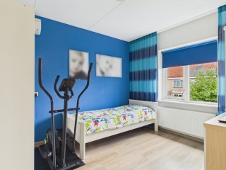 Roerdomp  Roerdomp 20 in Terneuzen