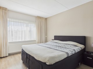 Roerdomp  Roerdomp 20 in Terneuzen