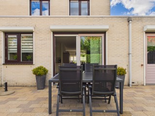 Roerdomp  Roerdomp 20 in Terneuzen