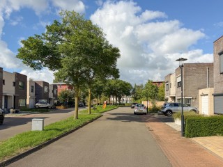 Roerdomp  Roerdomp 20 in Terneuzen