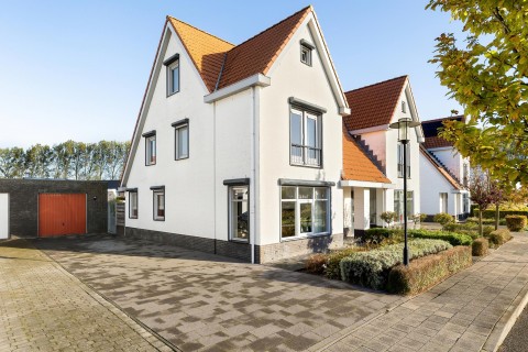 Jacobsschelp 68