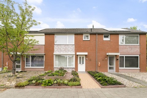Olmenstraat 41