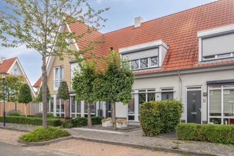 Aurelia 6